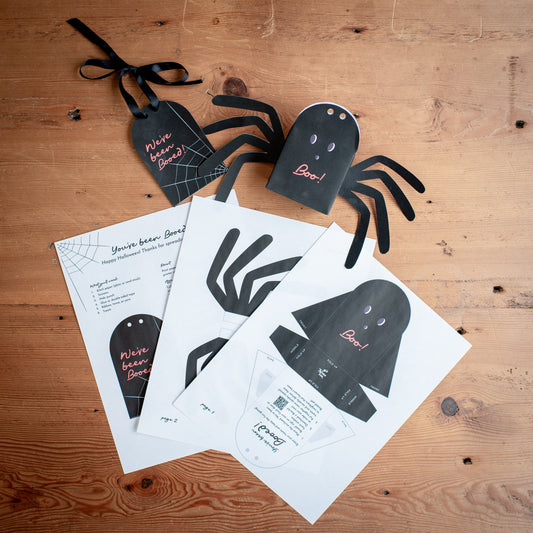 Spider Boo Kit