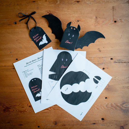 Bat Boo Kit