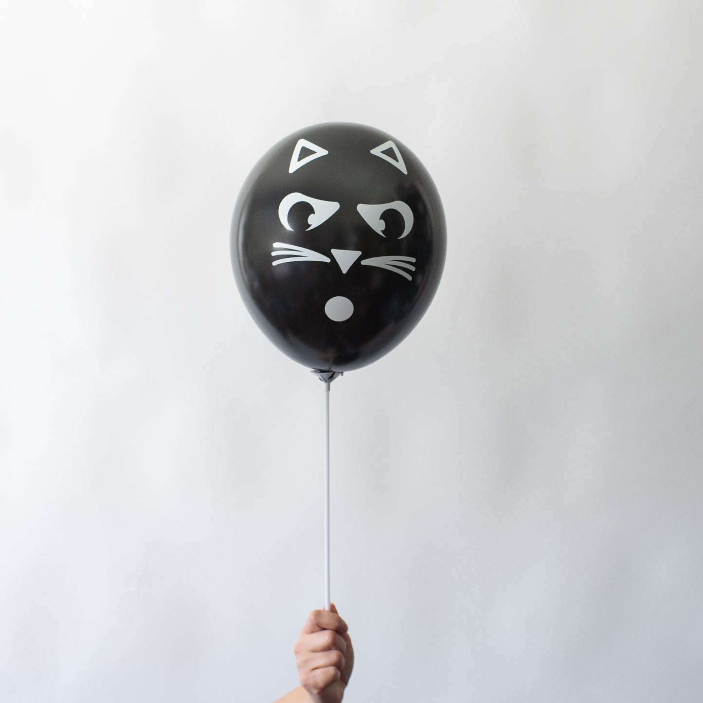 Cat Balloon Craft Kit