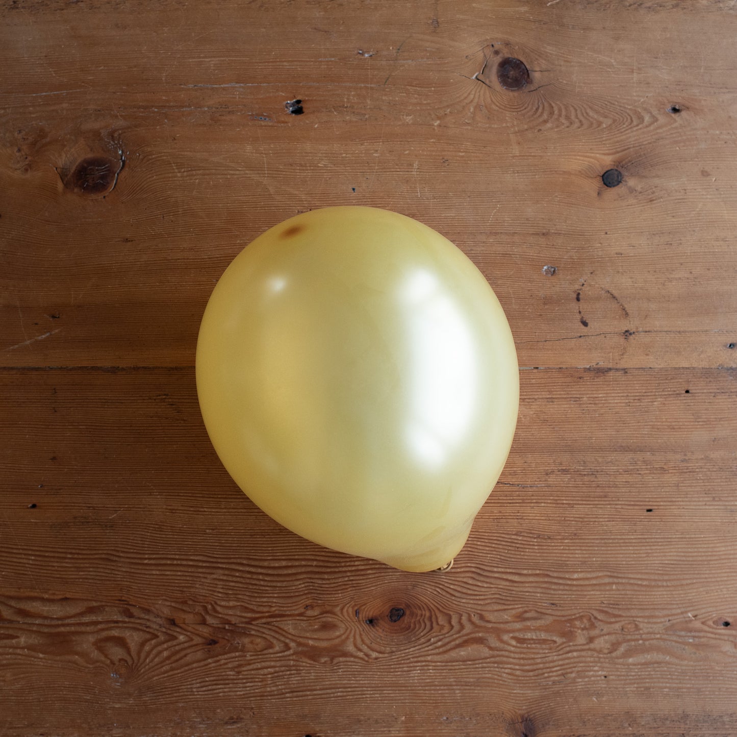 12" Metallic Gold Latex Balloons