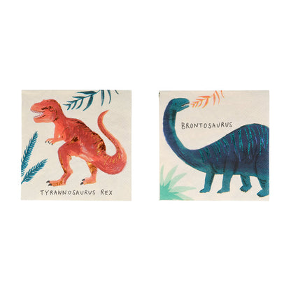 Dinosaur Party Tableware Kit