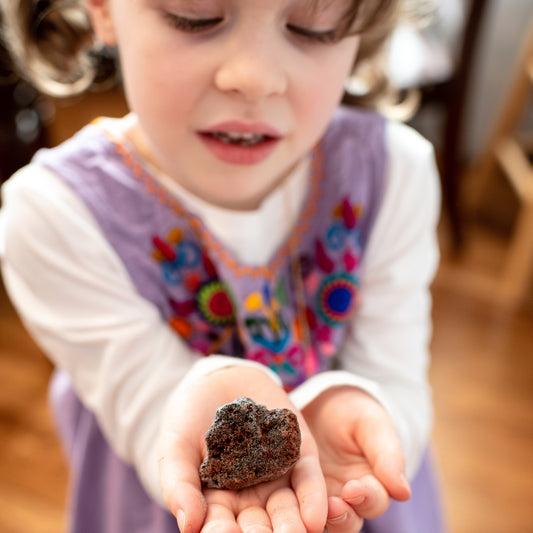 Moon Rock Search Activity Kit